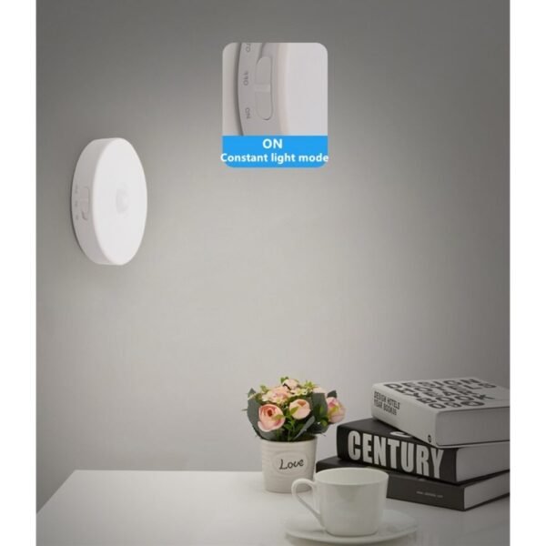 Motion-Sensor-Light - Image 4