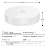 Motion-Sensor-Light7-1712297020