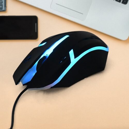 Computer Mouse
